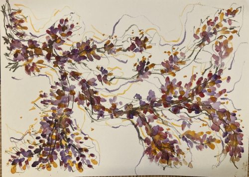 Fiori