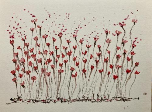 Fiori