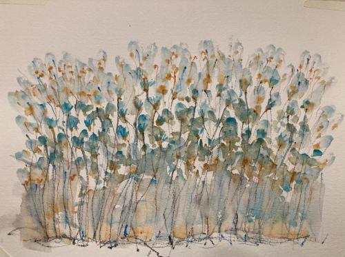 Fiori