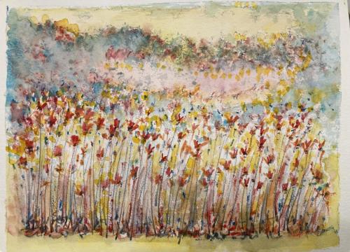 Fiori